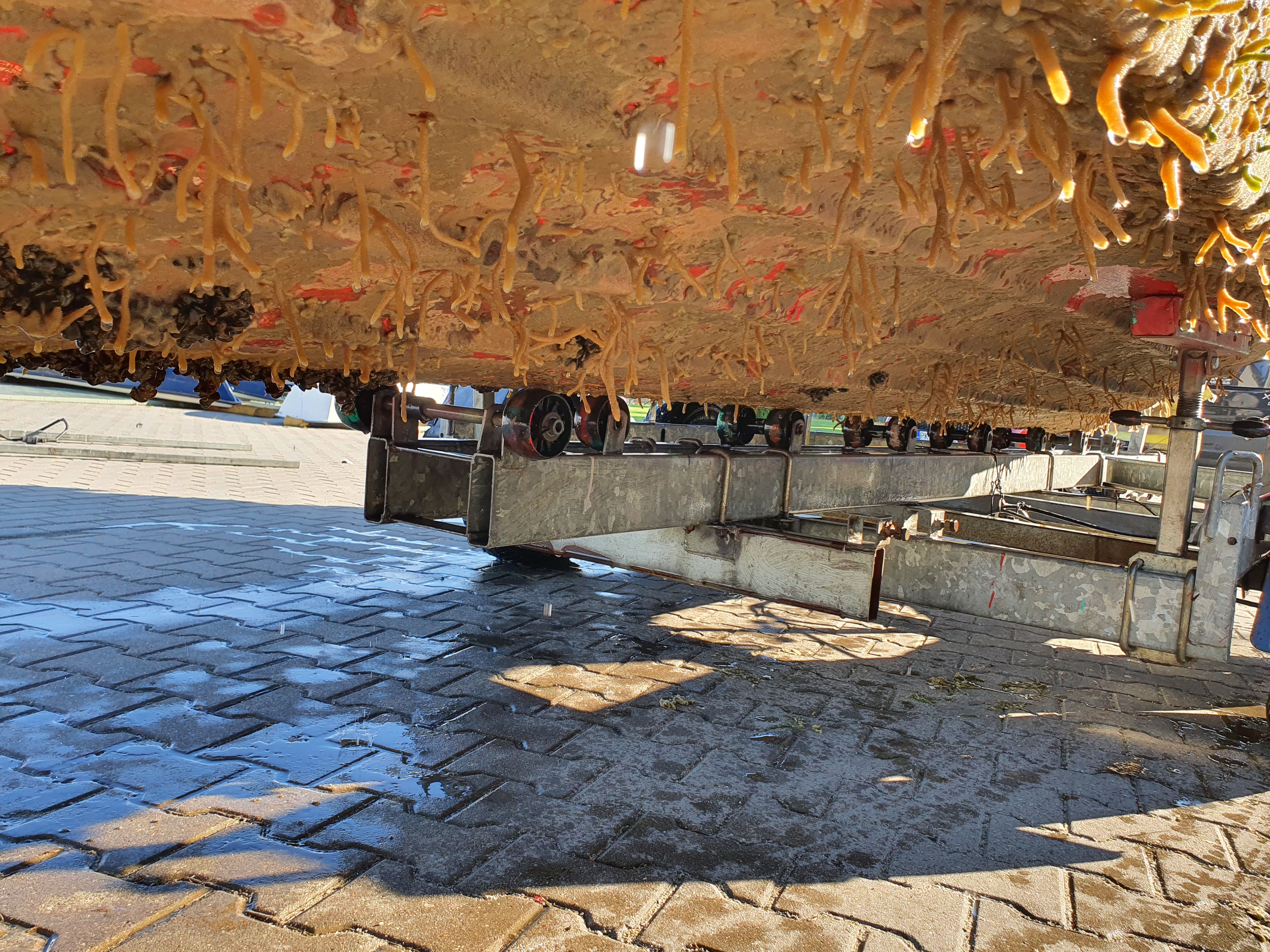 Czyszczenie Dna Łodzi po Sezonie – Jak Zadbać o Łódź po Wyciągnięciu z Wody?